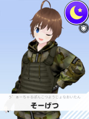 そーげつ | う゛ぁーちゃるぽんこつようじょなおいたん 【ぶいちゅ～バトル参加者】